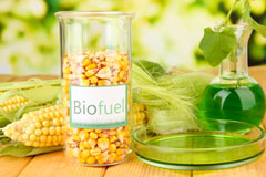 Patchole biofuel availability